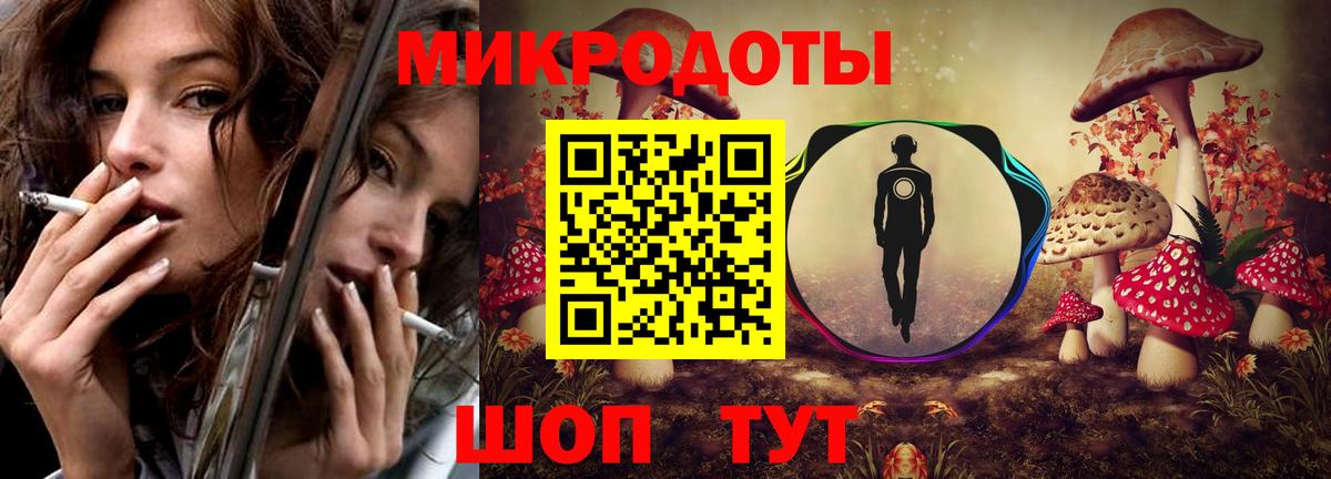 Чита  Галлюциногенные грибы Cubensis  Вход с VPN 